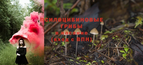 молекула духа Алексеевка
