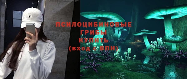 ГАЛЛЮЦИНОГЕННЫЕ ГРИБЫ Алексин