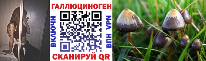 blacksprut сайт  где найти   Пласт  Галлюциногенные грибы прущие грибы 