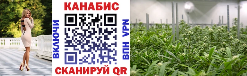 Бошки Шишки сатива  Пласт 